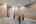 Blurred preview of media: 30