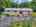 Blurred preview of media: DJI_20260818122120_0116_D_7_D_8_D_easyHDR