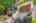 Blurred preview of media: NE Knott st (7)