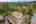 Blurred preview of media: 1-29