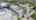 Blurred preview of media: DJI_20260603133756_0595_D