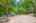 Blurred preview of media: 2-726-1155