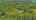 Blurred preview of media: DJI_0348-HDR