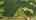 Blurred preview of media: DJI_20260603132803_0286_D