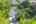 Blurred preview of media: 10_Ipixx_11