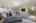 Blurred preview of media: 260055-18a