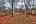 Blurred preview of media: IMG_8302_3_4_easyHDR