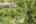Blurred preview of media: 1-0_SW_Upper_Dr_vacantlot
