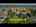 Blurred preview of media: Unknown media