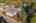 Blurred preview of media: 1-23