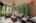 Blurred preview of media: DSC01198