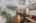 Blurred preview of media: 6-print-P2209487