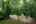 Blurred preview of media: 20250808L_lg_JW0022