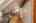 Blurred preview of media: 1-48