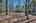Blurred preview of media: IMG_9307_8_9_easyHDR