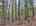 Blurred preview of media: DJI_20260505133950_0802_D_3_D_4_D_easyHDR