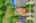 Blurred preview of media: 004