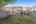 Blurred preview of media: IMG_2994