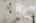 Blurred preview of media: 28-1935_SE_52nd_Ave