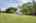 Blurred preview of media: IMG_6211