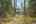Blurred preview of media: PAX_0817