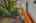 Blurred preview of media: 1-56