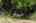 Blurred preview of media: Interior Pro Images 3098 Espana Ln FULL SHOOT-83