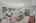 Blurred preview of media: 1-11