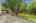 Blurred preview of media: bristow_101