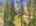 Blurred preview of media: 334 N Pine Meadows Rd - 76