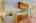 Blurred preview of media: 1-16