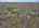 Blurred preview of media: 7-cecilia-ct-vernon-township-nj-usa-drone-007