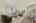 Blurred preview of media: 260159-07