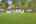 Blurred preview of media: 0L5A1611_g