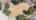 Blurred preview of media: sUwRwC6vOqvIut3yLuYj@b03b63853d