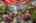 Blurred preview of media: 1-27