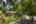 Blurred preview of media: 1-22