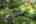 Blurred preview of media: IMG_3630