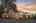 Blurred preview of media: 1-95