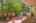 Blurred preview of media: DSC00571