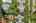 Blurred preview of media: DJI_20260828154806_0152_D