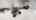 Blurred preview of media: Jarett-Mutts-Photography-06082018_084401