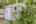 Blurred preview of media: 081A0225