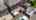 Blurred preview of media: 78