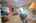 Blurred preview of media: IMG_8891_2_3