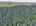 Blurred preview of media: DJI_20260829151446_0363_D_4_D_5_D_easyHDR