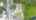 Blurred preview of media: DJI_0013