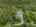 Blurred preview of media: DJI_20250905120029_0002_D