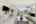 Blurred preview of media: 019_ROB08973