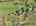 Blurred preview of media: DJI_20251021122506_0890_D_1_D_2_D_easyHDR